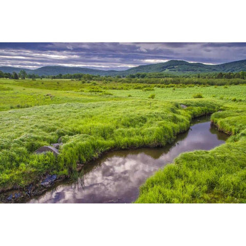 WV, Davis Landscape of the Canaan Valley Black Modern Wood Framed Art Print by OBrien, Jay
