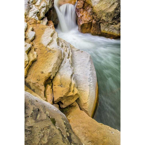 West Virginia, Thomas Close-up of Douglas Falls Gold Ornate Wood Framed Art Print with Double Matting by OBrien, Jay