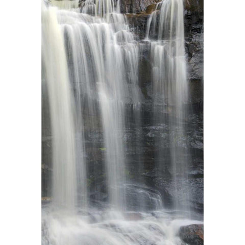 West Virginia, Davis, Blackwater Falls The falls Black Modern Wood Framed Art Print with Double Matting by OBrien, Jay