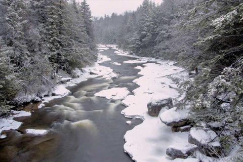 WV, Blackwater Falls Stream in winter landscape White Modern Wood Framed Art Print with Double Matting by OBrien, Jay
