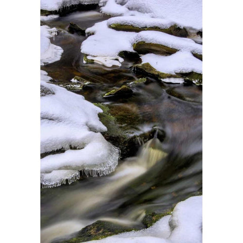 West Virginia, Blackwater Falls Flowing stream Black Modern Wood Framed Art Print by OBrien, Jay