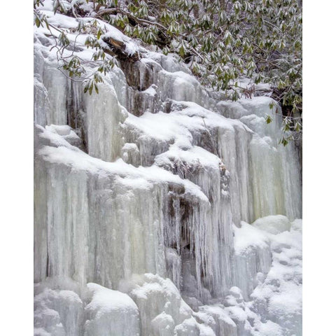 West Virginia, Blackwater Falls Frozen waterfall Black Modern Wood Framed Art Print by OBrien, Jay