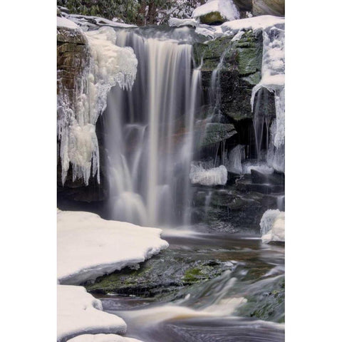West Virginia, Blackwater Falls Frozen waterfall Black Modern Wood Framed Art Print with Double Matting by OBrien, Jay