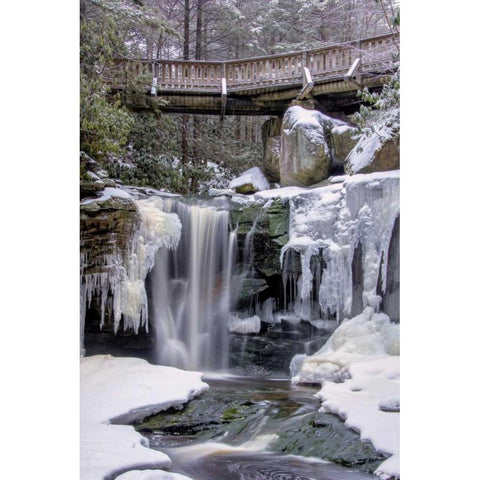 WV, Blackwater Falls SP Bridge and waterfall Black Modern Wood Framed Art Print with Double Matting by OBrien, Jay