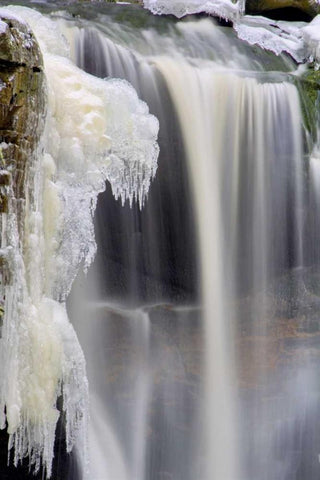 West Virginia, Blackwater Falls Frozen waterfall White Modern Wood Framed Art Print with Double Matting by OBrien, Jay