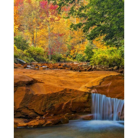WV, Douglass Falls Waterfall over rock outcrop Black Modern Wood Framed Art Print by OBrien, Jay