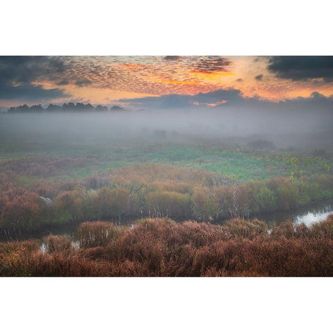 USA-West Virginia-Davis Fog over stream in valley at sunrise Black Modern Wood Framed Art Print with Double Matting by Jaynes Gallery
