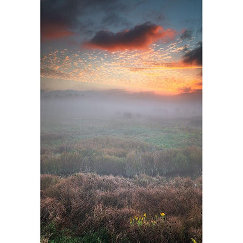USA-West Virginia-Davis Fog over stream in valley at sunrise Black Modern Wood Framed Art Print by Jaynes Gallery