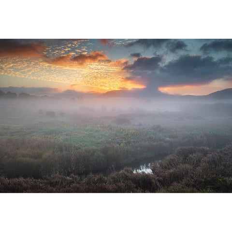 USA-West Virginia-Davis Fog over stream in valley at sunrise Black Modern Wood Framed Art Print by Jaynes Gallery