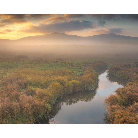 USA-West Virginia-Davis Fog over stream in valley at sunrise Black Modern Wood Framed Art Print by Jaynes Gallery