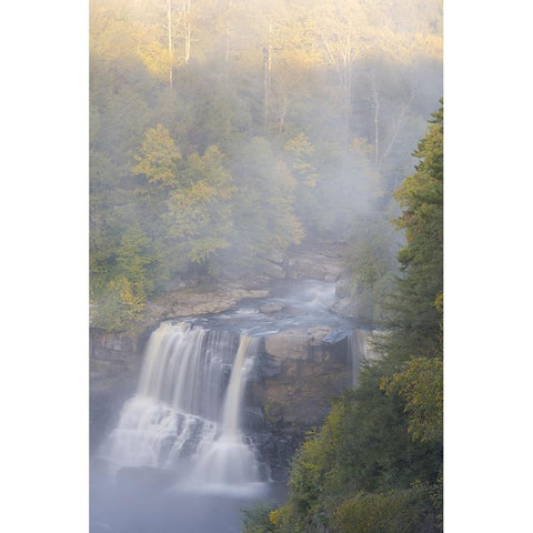 USA-West Virginia-Davis Overview of waterfall in Blackwater State Park Black Modern Wood Framed Art Print by Jaynes Gallery