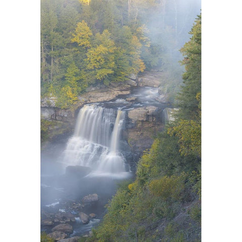 USA-West Virginia-Davis Overview of waterfall in Blackwater State Park Black Modern Wood Framed Art Print by Jaynes Gallery