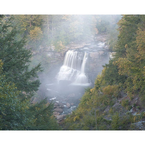 USA-West Virginia-Davis Overview of waterfall in Blackwater State Park Black Modern Wood Framed Art Print with Double Matting by Jaynes Gallery