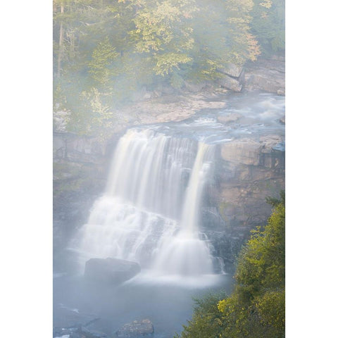 USA-West Virginia-Davis Overview of waterfall in Blackwater State Park White Modern Wood Framed Art Print by Jaynes Gallery