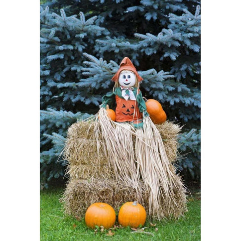 Wisconsin Autumn haystack and Halloween decor White Modern Wood Framed Art Print by Flaherty, Dennis