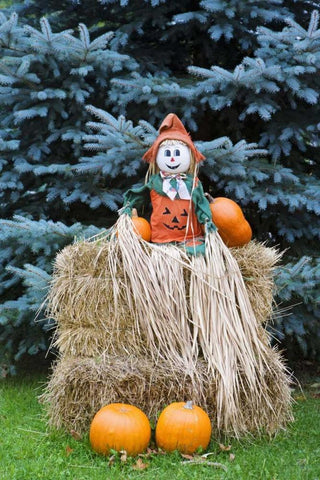 Wisconsin Autumn haystack and Halloween decor Black Ornate Wood Framed Art Print with Double Matting by Flaherty, Dennis