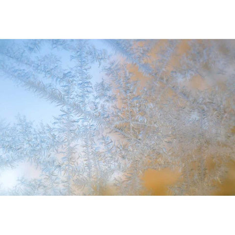 Wisconsin, Madison Frost patterns on glass Black Modern Wood Framed Art Print by Grall, Don