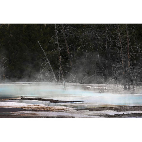 Colorful hot spring on top of Canary Spring-Mammoth Hot Springs-Yellowstone National Park-Wyoming Black Modern Wood Framed Art Print by Jones, Adam