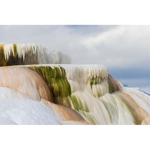 Colorful terrace-Canary Spring-Mammoth Hot Springs-Yellowstone National Park-Wyoming Black Modern Wood Framed Art Print by Jones, Adam