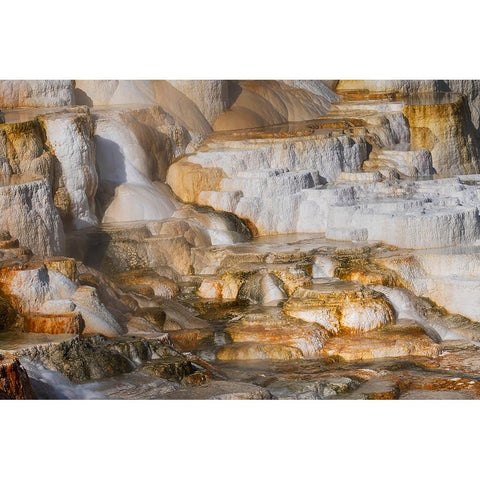 Colorful terrace-Canary Spring-Mammoth Hot Springs-Yellowstone National Park-Wyoming White Modern Wood Framed Art Print by Jones, Adam