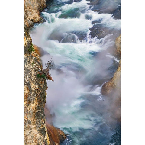 Yellowstone River at sunrise from Artist Point-Yellowstone National Park-Wyoming Black Modern Wood Framed Art Print by Jones, Adam
