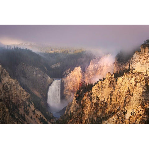 Lower Falls at sunrise from Artist Point-Yellowstone National Park-Wyoming White Modern Wood Framed Art Print by Jones, Adam