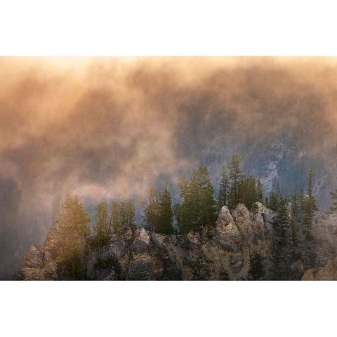 View from Artist Point at sunrise-Grand Canyon of Yellowstone-Yellowstone National Park-Wyoming White Modern Wood Framed Art Print by Jones, Adam