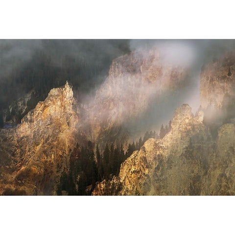 View from Artist Point at sunrise-Grand Canyon of Yellowstone-Yellowstone National Park-Wyoming Black Modern Wood Framed Art Print by Jones, Adam