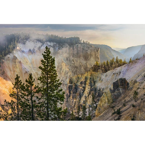 View from Artist Point at sunrise-Grand Canyon of Yellowstone-Yellowstone National Park-Wyoming Black Modern Wood Framed Art Print with Double Matting by Jones, Adam
