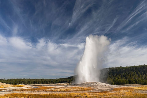 Old Faithful geyser erupting-a cone geyser in the Upper Geyser Basin White Modern Wood Framed Art Print with Double Matting by Jones, Adam