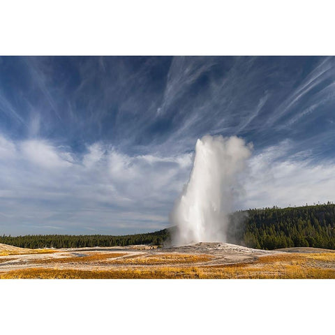 Old Faithful geyser erupting-a cone geyser in the Upper Geyser Basin Black Modern Wood Framed Art Print by Jones, Adam