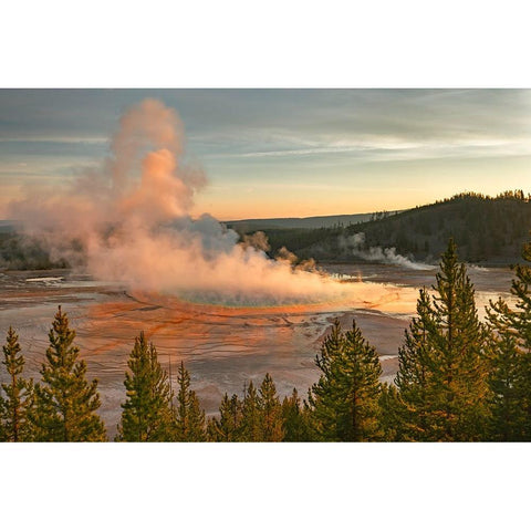 Elevated sunrise view of Grand Prismatic spring and colorful bacterial mat-Yellowstone National Park Black Modern Wood Framed Art Print by Jones, Adam