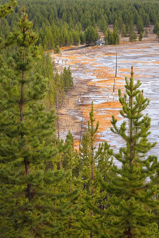 Elevated view of runoff water and bacterial mat-Grand Prismatic spring Black Ornate Wood Framed Art Print with Double Matting by Jones, Adam