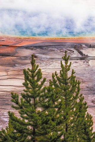 Elevated view of Grand Prismatic spring and colorful bacterial mat-Yellowstone National Park Black Ornate Wood Framed Art Print with Double Matting by Jones, Adam