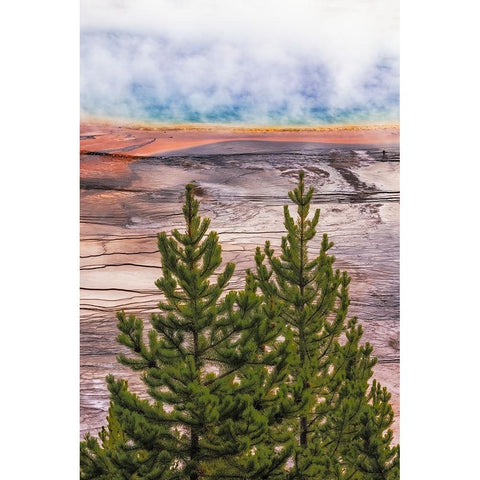 Elevated view of Grand Prismatic spring and colorful bacterial mat-Yellowstone National Park Black Modern Wood Framed Art Print by Jones, Adam