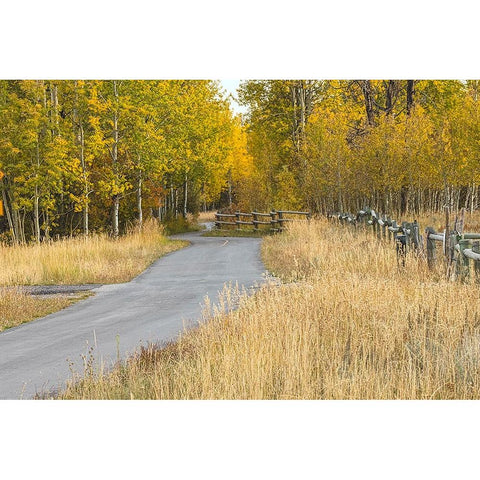 Bike path in autumn-Grand Teton National Park-Wyoming Black Modern Wood Framed Art Print by Jones, Adam