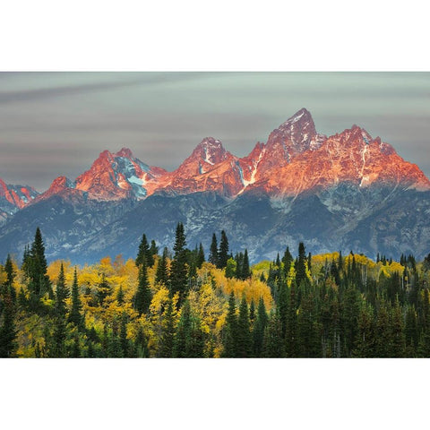 Autumn view of Teton Range at sunrise-Grand Teton National Park-Wyoming Black Modern Wood Framed Art Print by Jones, Adam