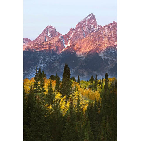 Autumn view of Teton Range at sunrise-Grand Teton National Park-Wyoming Black Modern Wood Framed Art Print by Jones, Adam
