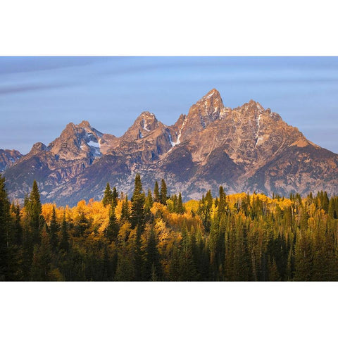Autumn view of Teton Range at sunrise-Grand Teton National Park-Wyoming Black Modern Wood Framed Art Print by Jones, Adam