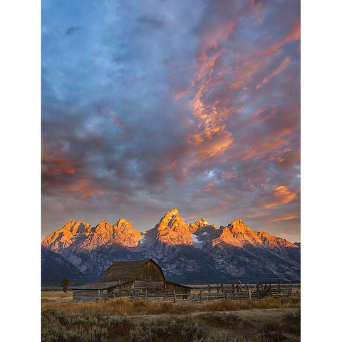 Historical Moulton barn at sunrise-Grand Teton National Park-Wyoming Gold Ornate Wood Framed Art Print with Double Matting by Jones, Adam