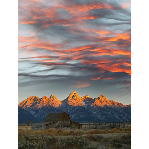 Historical Moulton barn at sunrise-Grand Teton National Park-Wyoming Gold Ornate Wood Framed Art Print with Double Matting by Jones, Adam