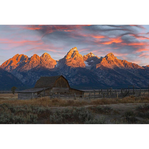 Historical Moulton barn at sunrise-Grand Teton National Park-Wyoming White Modern Wood Framed Art Print by Jones, Adam
