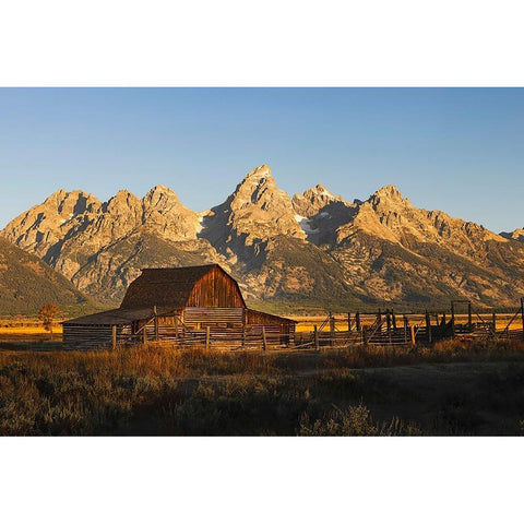 Historical Moulton barn at sunrise-Grand Teton National Park-Wyoming Black Modern Wood Framed Art Print by Jones, Adam