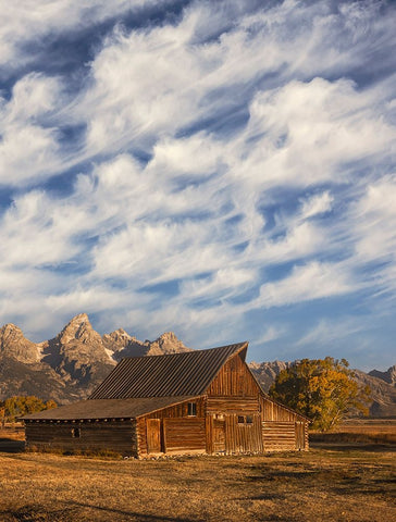 Historical Moulton barn at sunrise-Grand Teton National Park-Wyoming Black Ornate Wood Framed Art Print with Double Matting by Jones, Adam