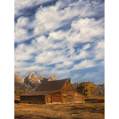 Historical Moulton barn at sunrise-Grand Teton National Park-Wyoming Black Modern Wood Framed Art Print by Jones, Adam