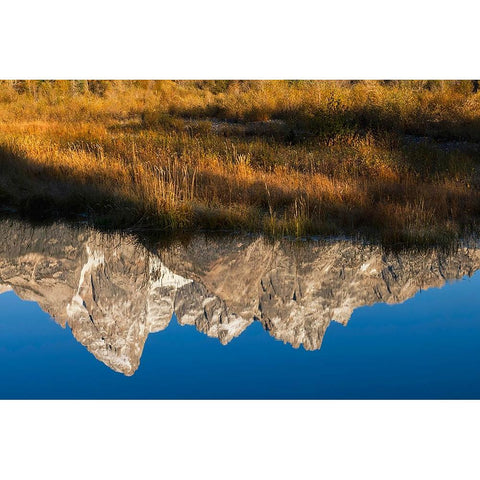 Teton Range reflected in Snake River from Schwabacher Landing-Grand Teton National Park-Wyoming Gold Ornate Wood Framed Art Print with Double Matting by Jones, Adam