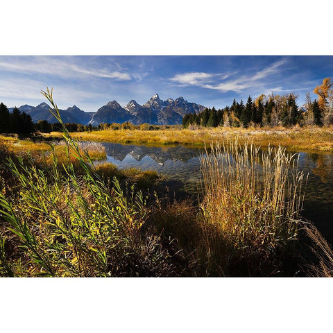 Teton Range from Schwabacher Landing-Grand Teton National Park-Wyoming Black Modern Wood Framed Art Print by Jones, Adam
