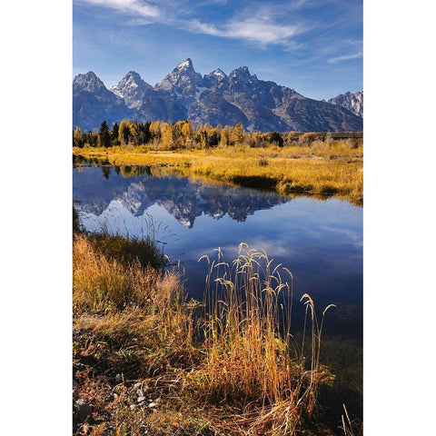 Teton Range from Schwabacher Landing-Grand Teton National Park-Wyoming Black Modern Wood Framed Art Print by Jones, Adam