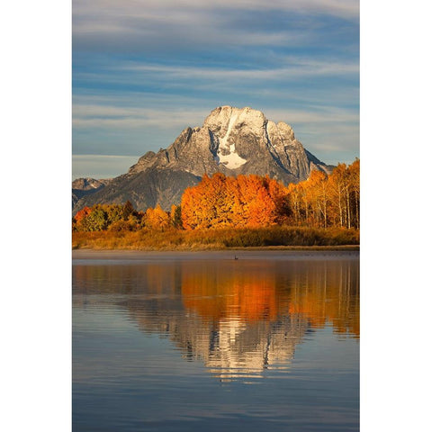 Autumn view of Mount Moran and Snake River-Grand Teton National Park-Wyoming Black Modern Wood Framed Art Print by Jones, Adam