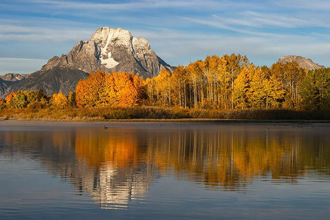 Autumn view of Mount Moran and Snake River-Grand Teton National Park-Wyoming Black Ornate Wood Framed Art Print with Double Matting by Jones, Adam